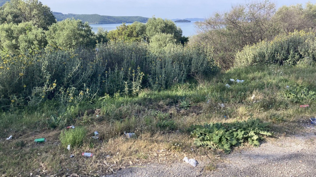 photo 2024 04 27 15 34 22