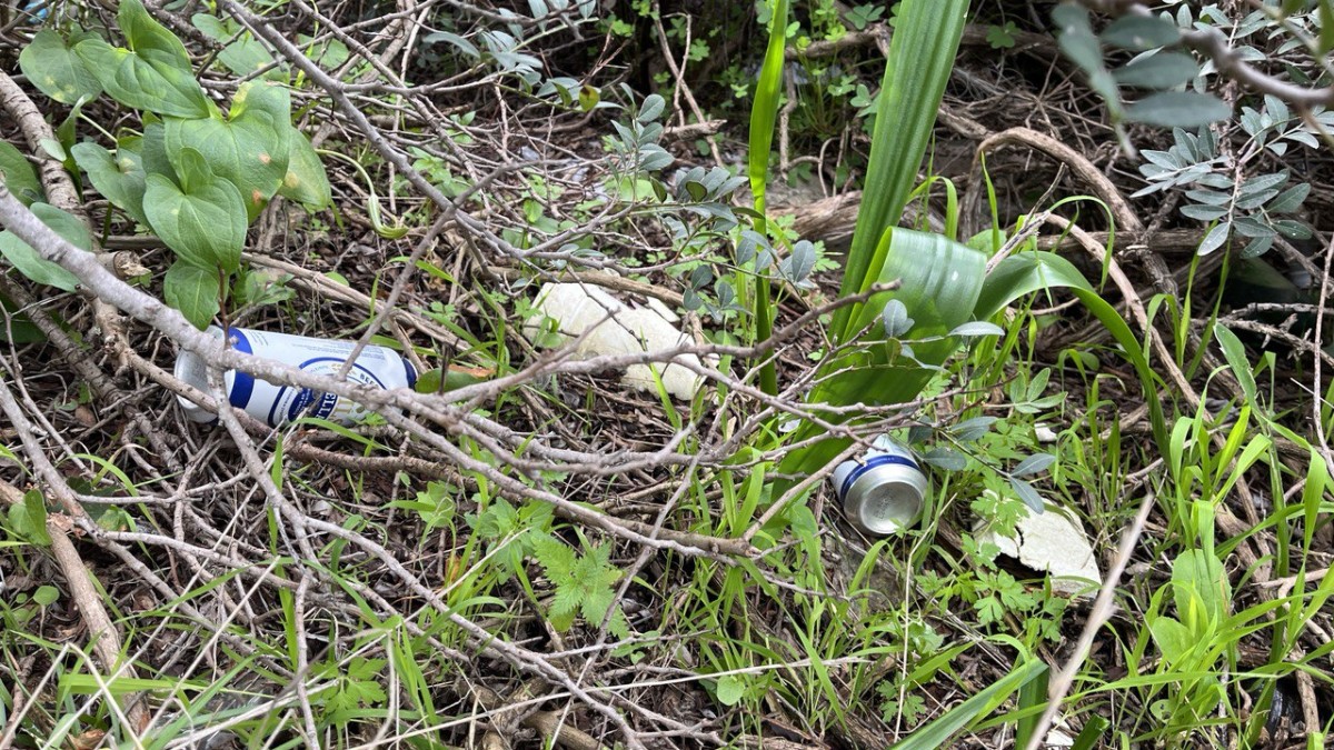 photo 2025 01 28 13 03 08