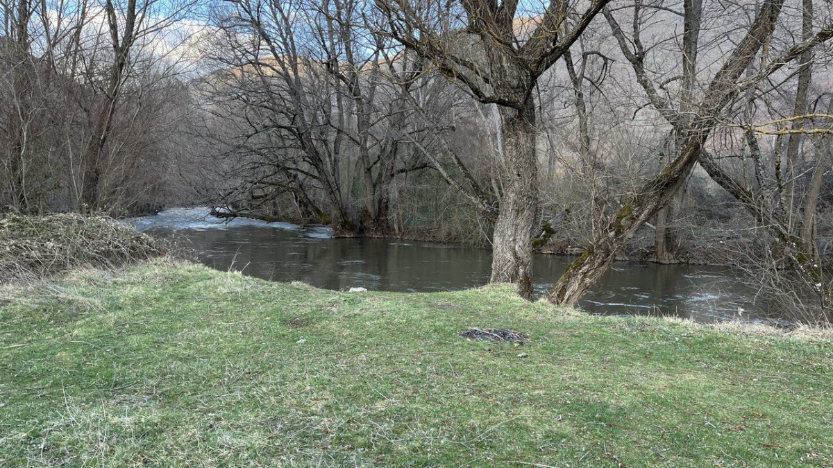 photo 2025 03 26 10 21 14