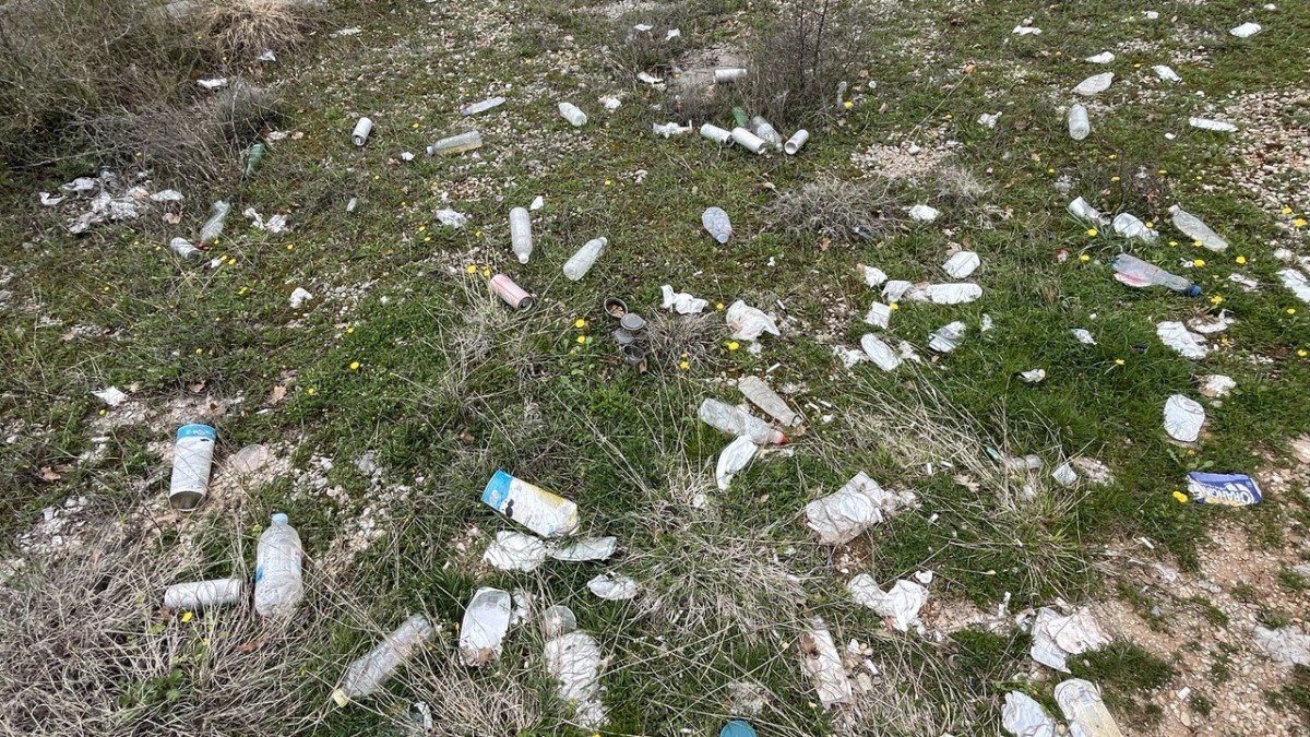 photo 2025 04 07 08 25 47