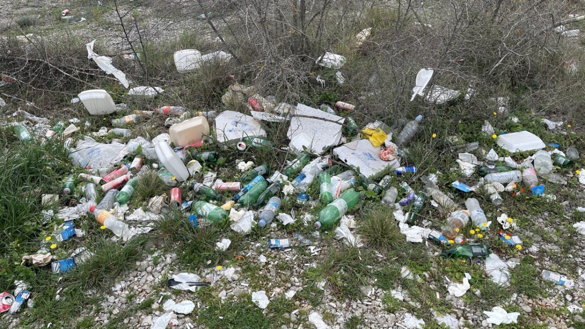 photo 2025 04 07 08 25 51