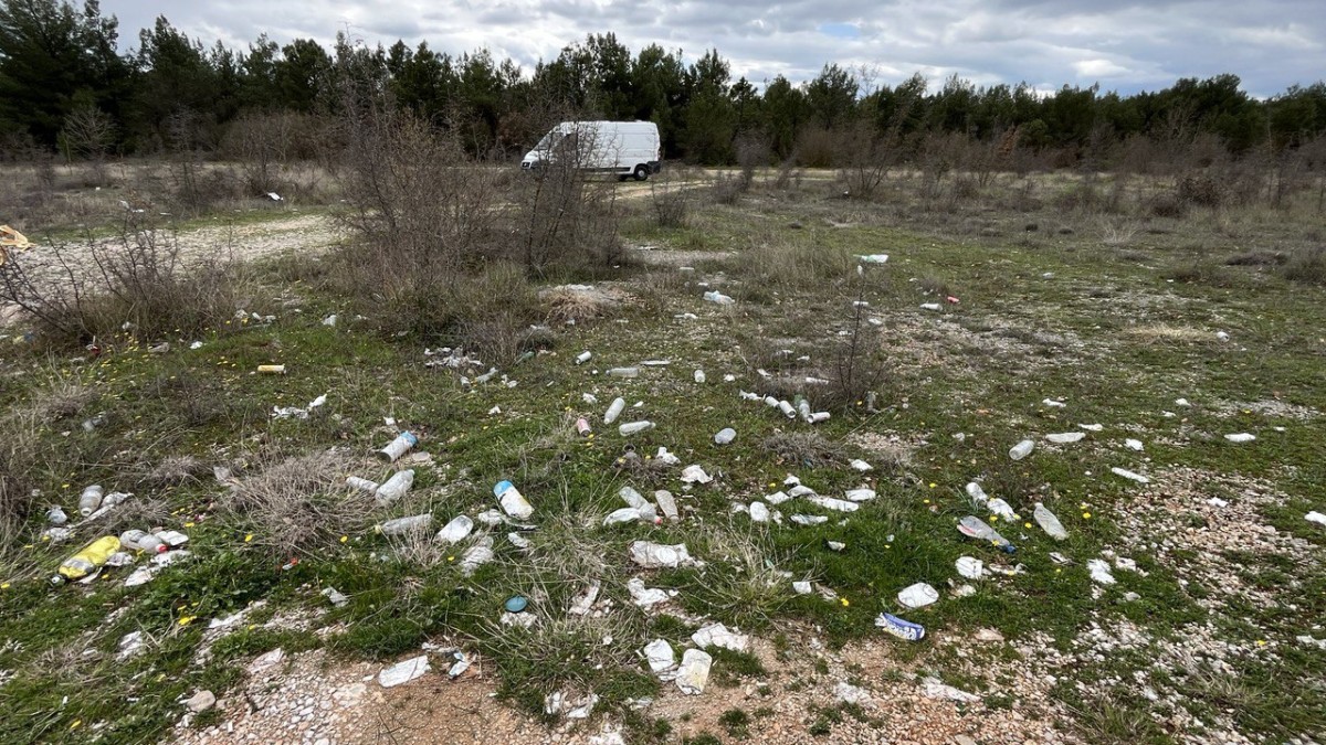 photo 2025 04 07 08 25 54