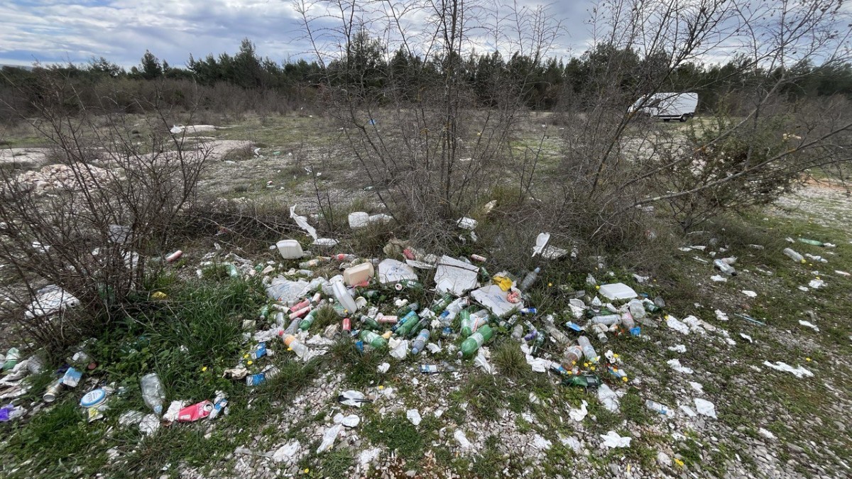 photo 2025 04 07 08 26 08