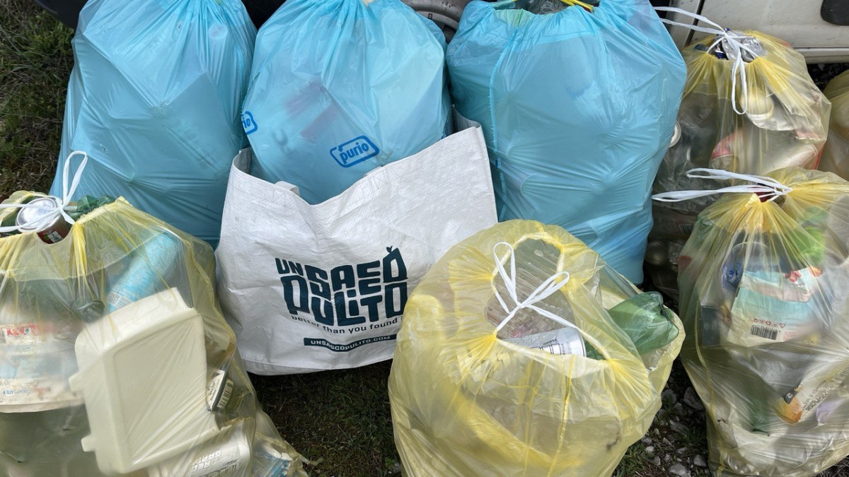 photo 2025 04 07 08 26 14