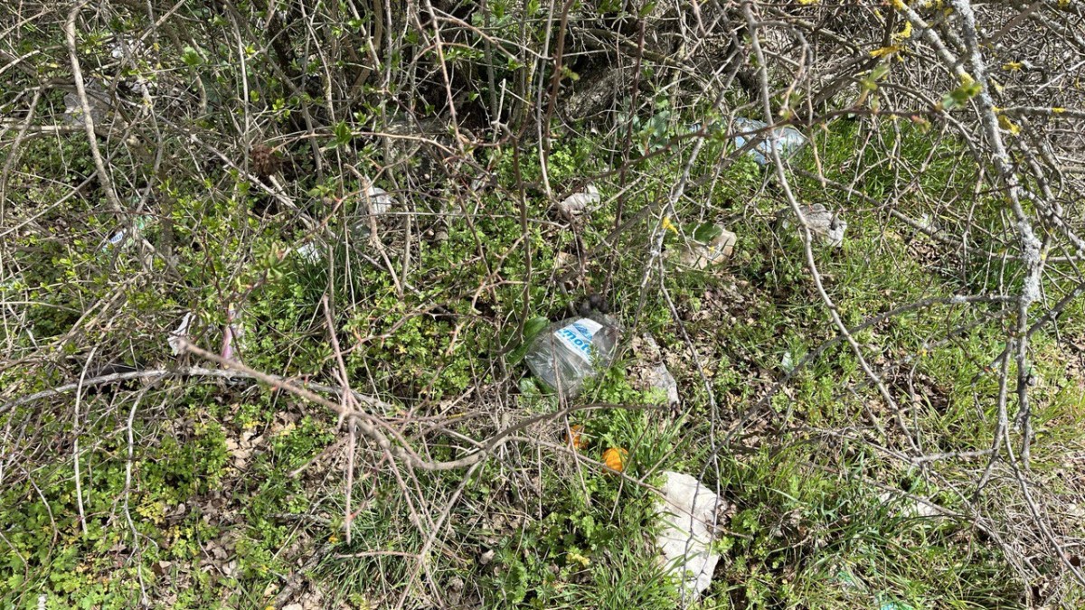 photo 2025 04 07 08 34 32