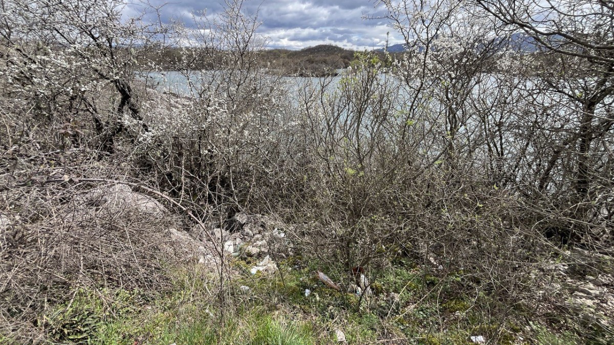 photo 2025 04 07 08 34 43