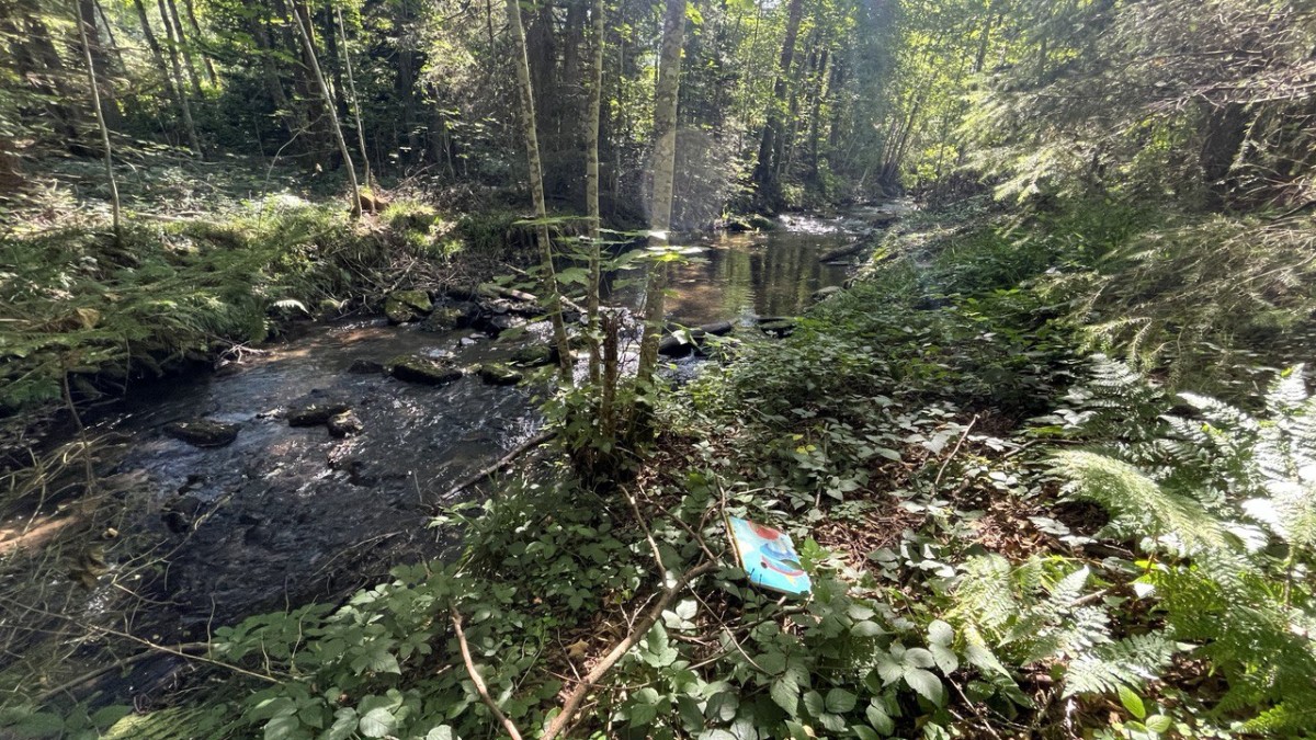 photo 2025 08 26 12 45 41