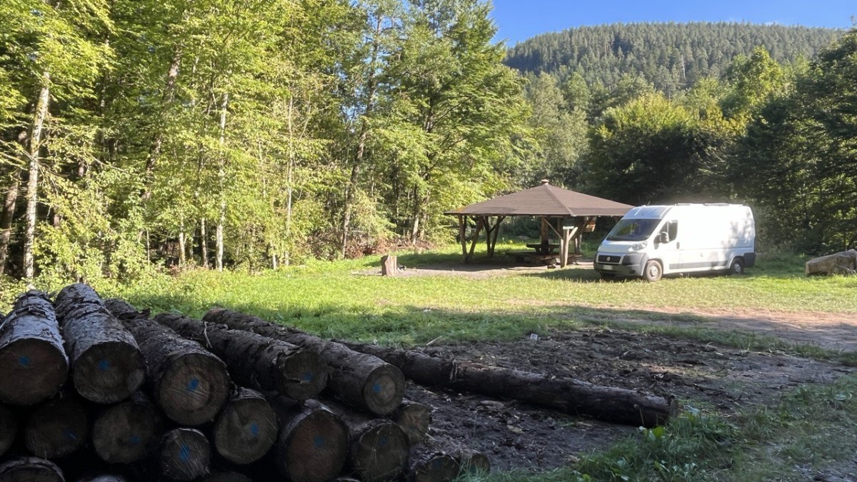 photo 2025 08 26 12 45 43