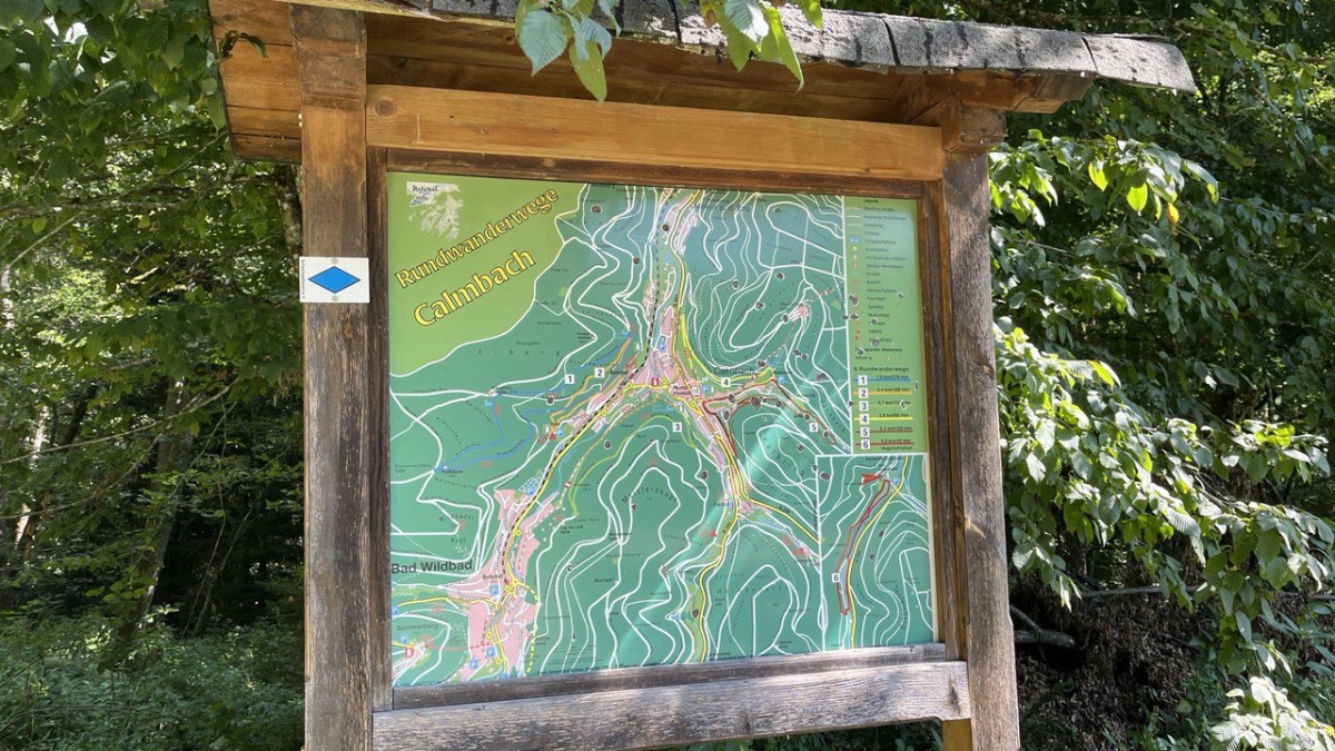 photo 2025 08 26 12 45 47