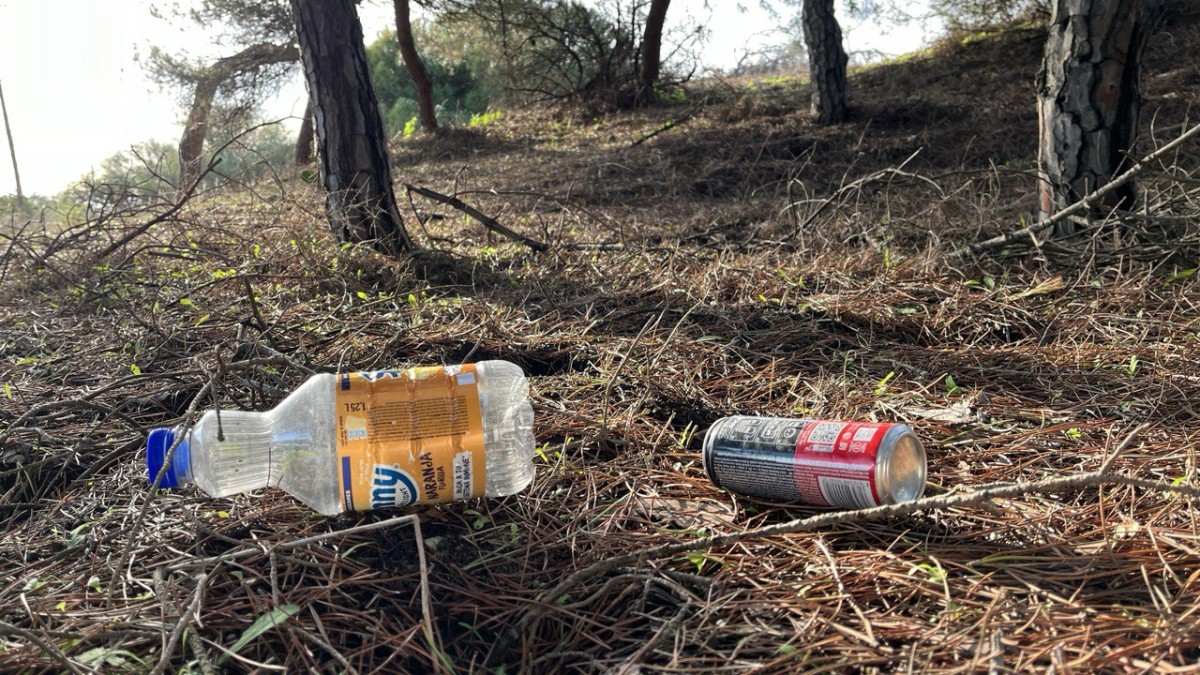 photo 2025 12 11 18 37 49 photo 2025 12 11 18 37 49