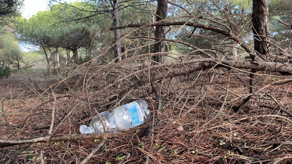 photo 2025 12 11 18 37 52 photo 2025 12 11 18 37 52