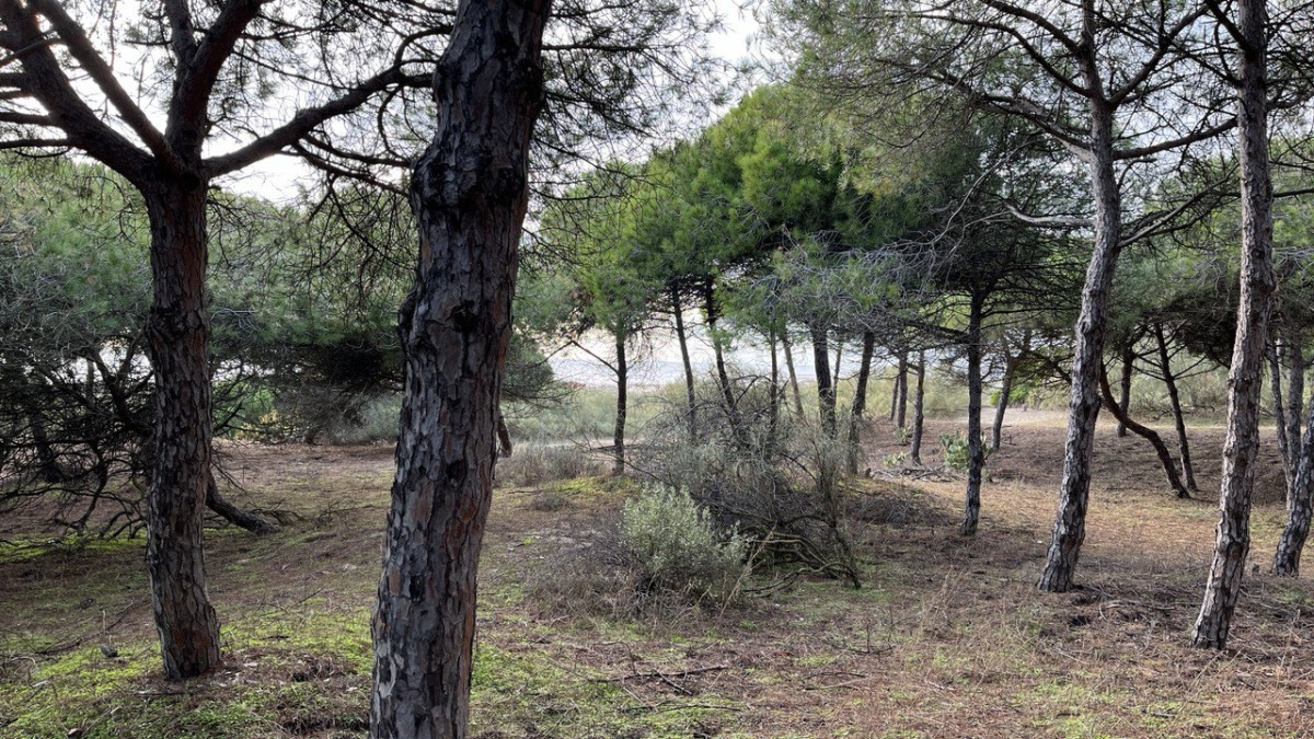 photo 2025 12 11 18 37 55 photo 2025 12 11 18 37 55