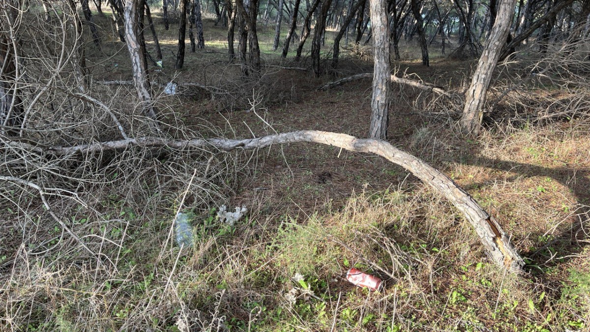 photo 2025 12 11 18 38 00 photo 2025 12 11 18 38 00