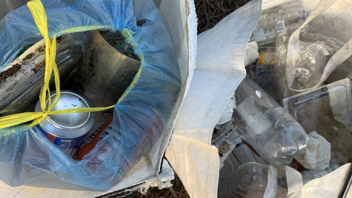 photo 2025 12 11 18 38 05 photo 2025 12 11 18 38 05