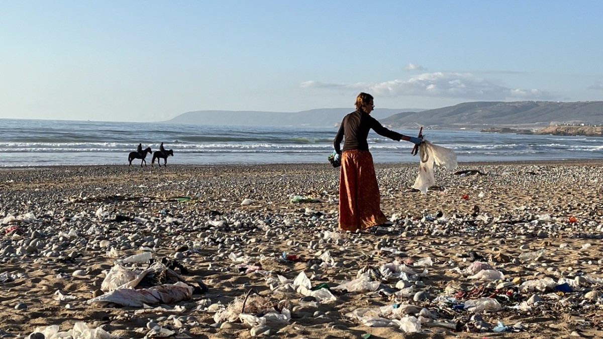 photo 2026 01 15 20 20 21