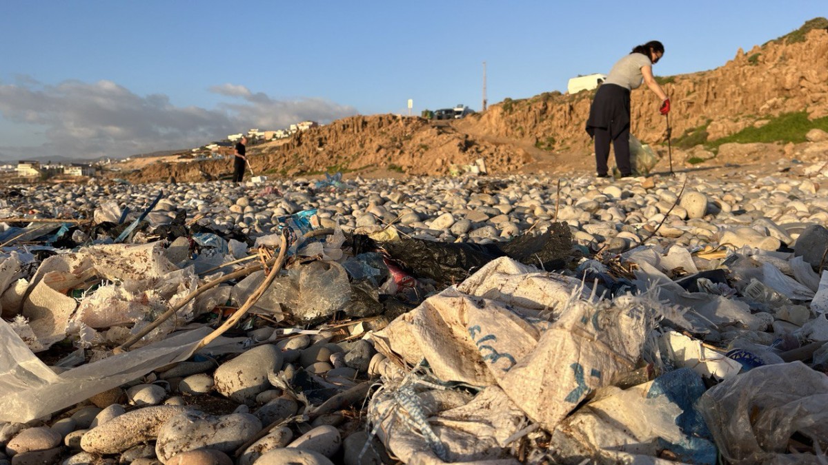 photo 2026 01 15 20 20 24