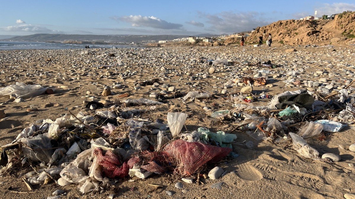 photo 2026 01 15 20 20 31