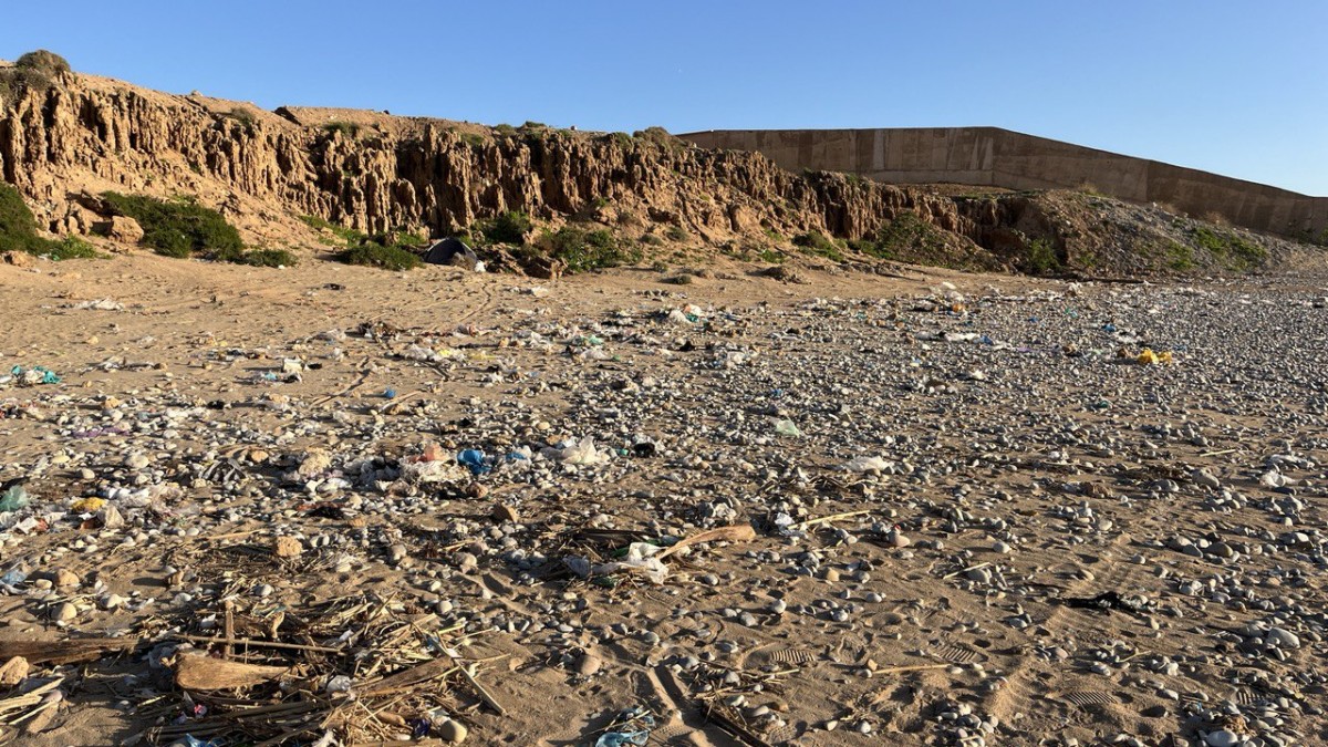 photo 2026 01 15 20 20 34