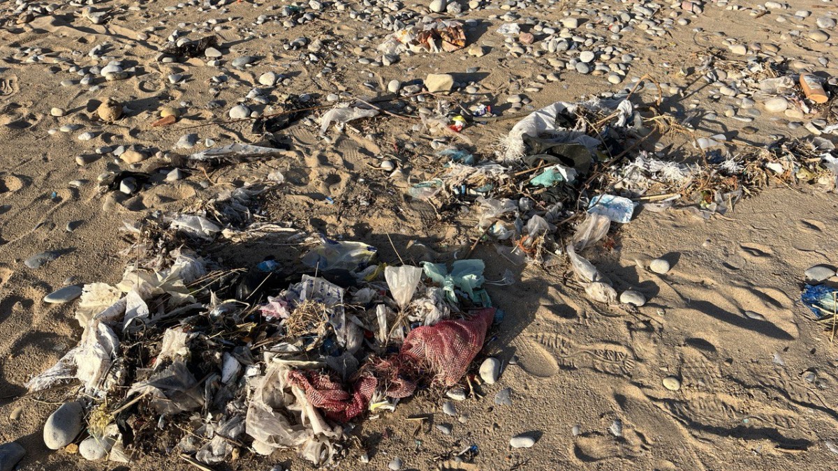 photo 2026 01 15 20 20 37