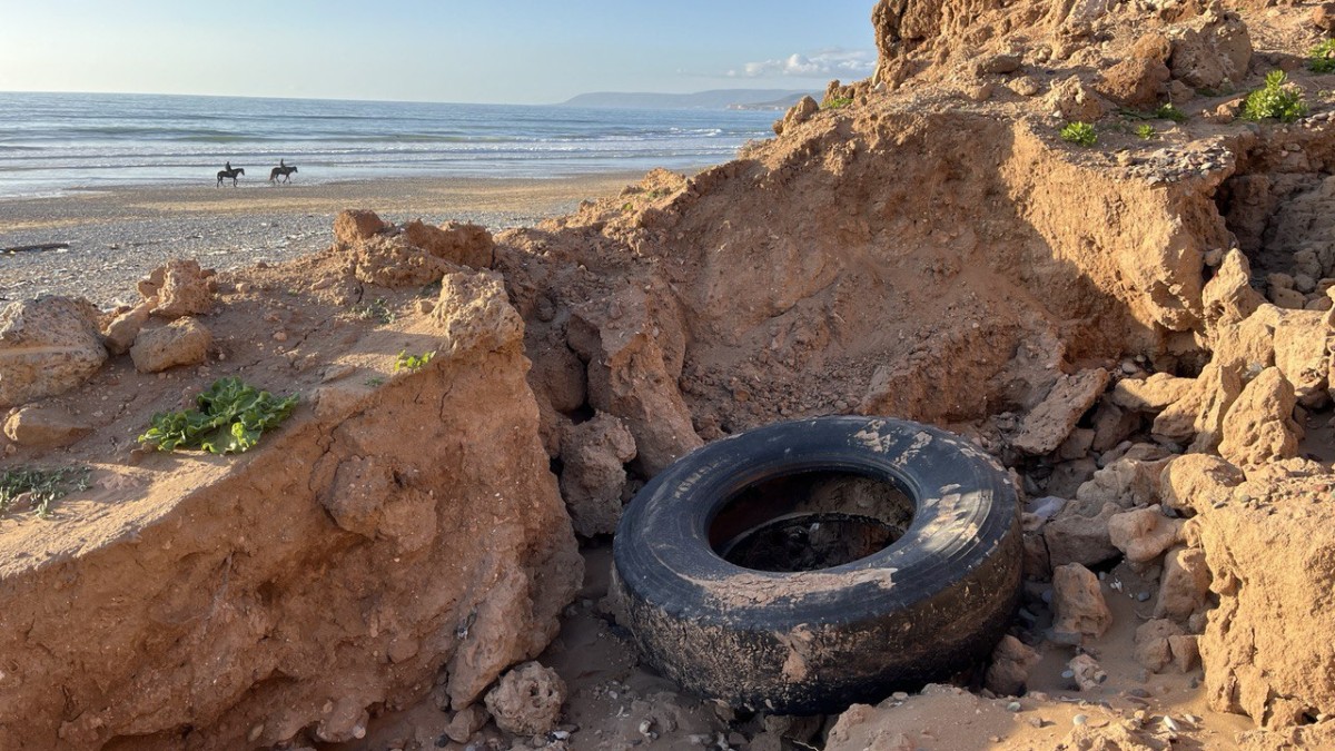 photo 2026 01 15 20 20 49