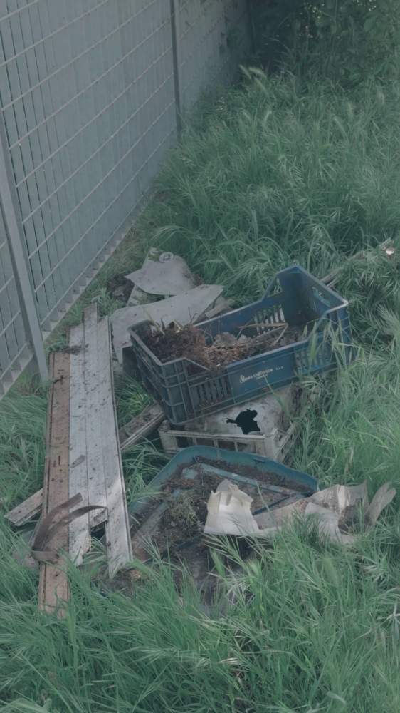 vlcsnap 2026 04 29 17h39m56s527